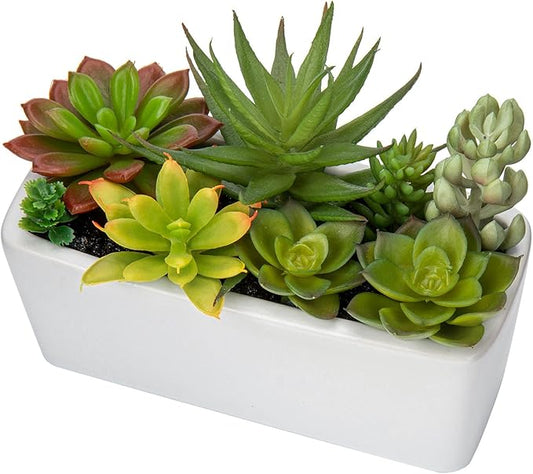 Artificial Succulents Plants in Ceramic Planter Assorted Faux Succulents in Pots Arrangement Fake Succulent Potted Plant for Home Office Desk Bathroom Shelf Living Room Indoor Outdoor Decor - Black