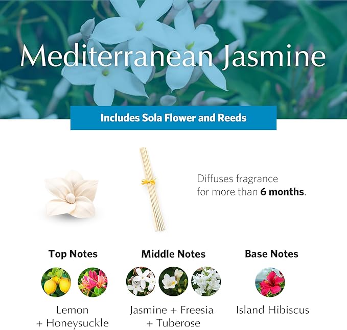 AGRARIA PetiteEssence Flower and Reed Diffuser Set, Hand Crafted Sola Flower Botanical Home Fragrance Set, Scented Oil Gift for All Occasions