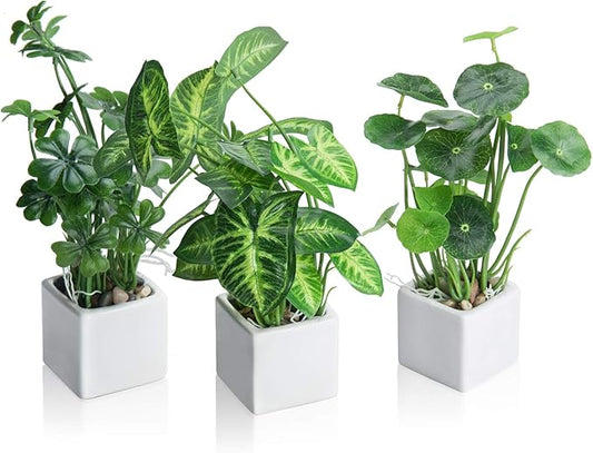 MyGift Set of 3 Artificial Plants, Faux Potted Plants Indoor, Small Fake House Plant in White Square Ceramic Pots for Shelf Decor