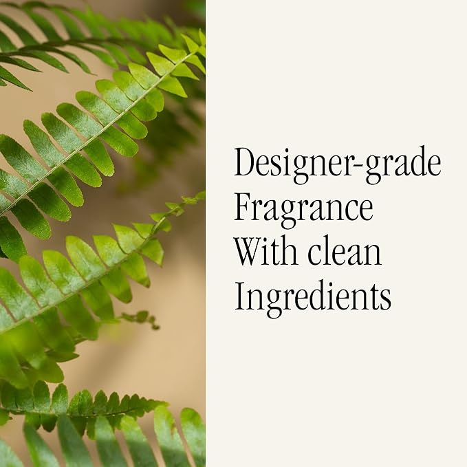 Pura & Brooklyn Candle Studio Home Scent Refill - Smart Air Diffuser - Up to 120-Hours of Luxury Fragrance per Refill - Home Essential - Clean & Safe Diffuser Fragrance - 2 Pack, Fern & Moss