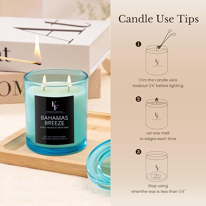 Bahamas Breeze Scented Candle, 2-Wick Luxury Soy Wax Candle, 9 oz Aromatherapy Candle Home Fragrance Candles Gift