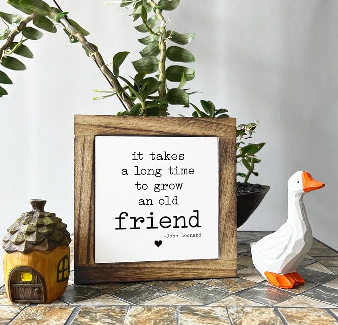 Desk Decor Gifts, Box Wood Plaques Desk Décor, Decorative Wooden Table Sign, Meaningful Friendship Sign, Old Friends Gifts, Bestie Gift, It Takes A Long Time to Grow An Old Friend Sign