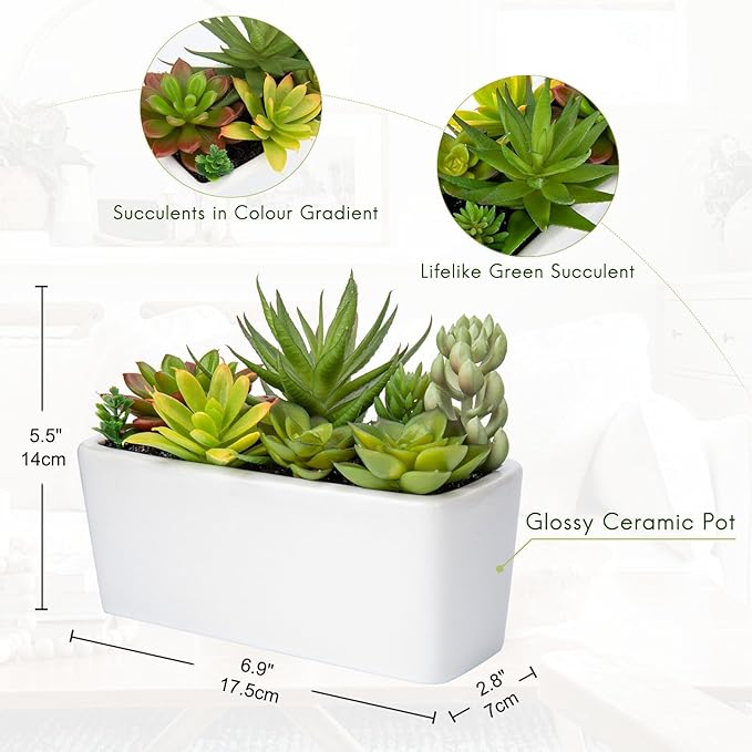 Artificial Succulents Plants in Ceramic Planter Assorted Faux Succulents in Pots Arrangement Fake Succulent Potted Plant for Home Office Desk Bathroom Shelf Living Room Indoor Outdoor Decor - Black
