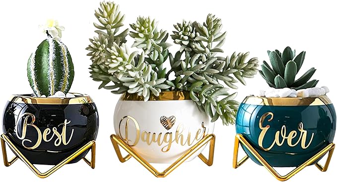 Daughter Gifts from Mom, Birthday Gift for Daughter, Mother Daughter Gifts, Happy Birthday Daughter, Best Daughter Ever Gift, Daughter In Law Gifts, Birthday Gifts for Daughter Adult, 3 Succulent Pots