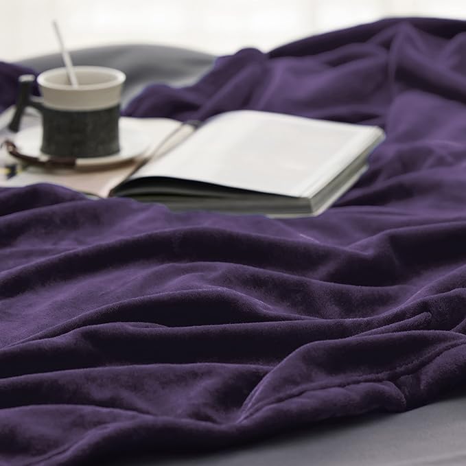 Bedsure GentleSoft Fleece Blankets Queen Size Purple - Bed Blanket Soft Lightweight Plush Fuzzy Cozy Luxury Microfiber, 90x90 inches