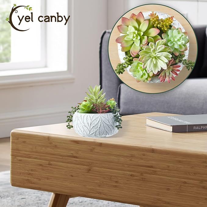 Artificial Succulent Plants Fake Potted Indoor with Ceramic Pot - Home Office, Bedroom, Bathroom Decor - Low Maintenance Desk Plants for Coffee Table & Room Aesthetics