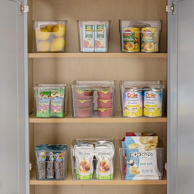 Sorbus 8 Pack Medium Clear Plastic Storage Bins, Clear Organizer Bins with Handle for Kitchen, Pantry, Cabinet, Refrigerator, Craft, Toys, Clothes, Closet, Under Sink, Bathroom Organizers and Storage