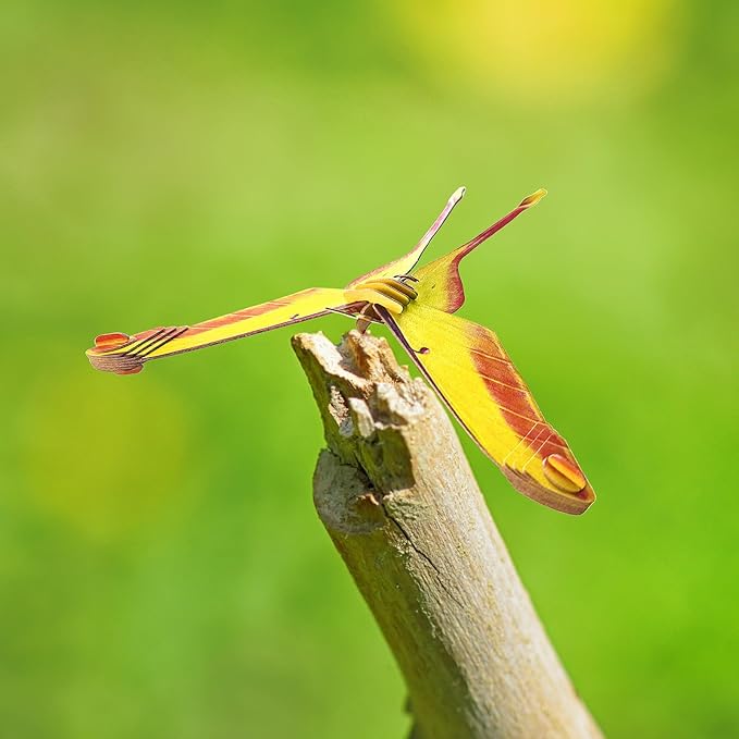 STEM Educational Toy Paper Puzzle for Children, Hands-On Learning Experience Inquisitive Minds, Preschool Toys for Birthday, Christmas, Holidays(Actias Moth, Ages 7 and Up)…