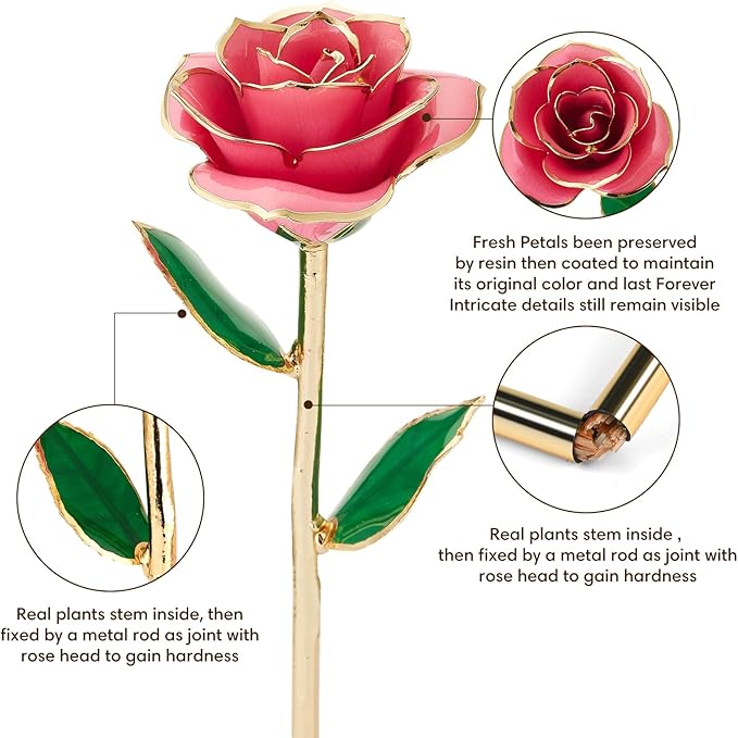 Gold Dipped Infinity Rose Last Forever Flower Decor, Birthday Gift for Women in Her Birthday Mothers Day, Resin Preserved Rose | Anniversary Present for Mom (Pink)