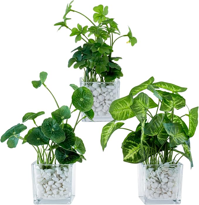 MyGift Artificial Clover and Taro Plants in Clear Glass Vase with Decorative White Stones, Set of 3