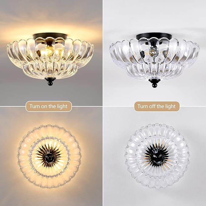 Modern Black Ceiling Light Fixture, 12" Clear Glass Flush Mount Chandeliers, Semi Flush Mount Ceiling Light Fixture Suitable for Living Room Hallway Kitchen Bedroom