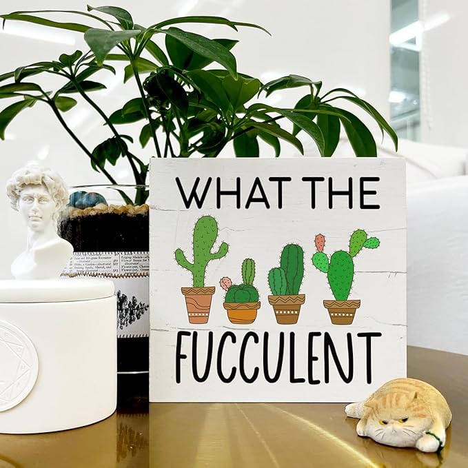 What the Fucculent Sign, Plant Decor, Box Sign Tabletop Decor, Cactus Decor, Plant Lover Home Decor, Greenery Office Decor, Office Desk Sign, Farmhouse Decor for Shelf, White Wooden Box Sign