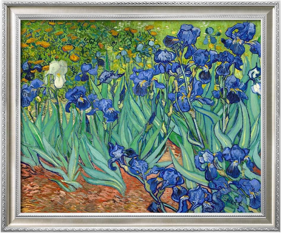 DECORARTS - Irises in the Garden by Vincent van Gogh, Museum-Quality Giclee Canvas Print with Silver Solid Wood Frame, 34.75 x 28.75 in, Ready to Hang, Made in USA