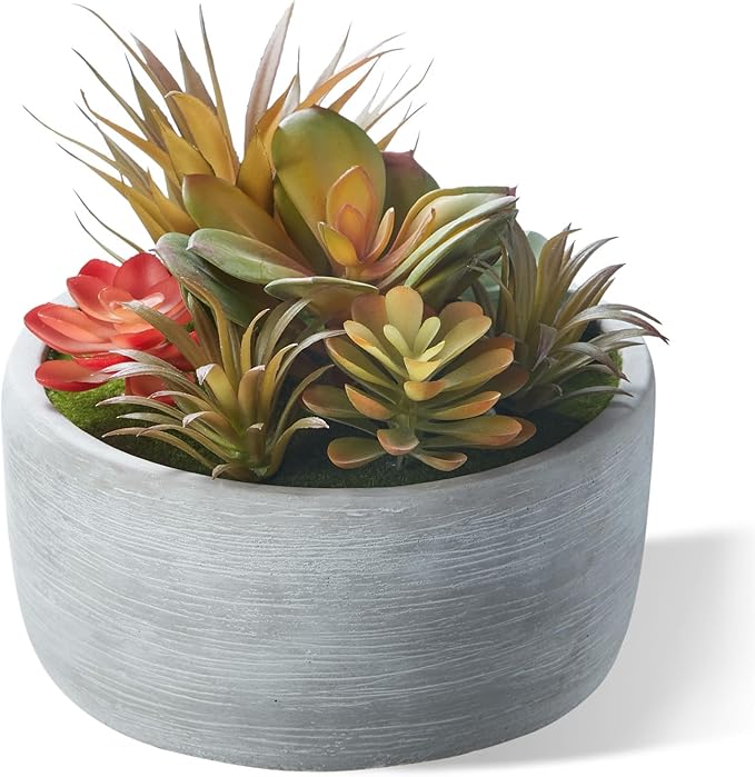 Artificial Succulent Plants Potted Indoor with Ceramic Pot - Fake Low Maintenance Plants for Bedroom, Bathroom, Coffee Table Decor - Home Office Desk & Room Aesthetics