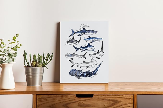 Nogrit Shark Wall Art - Ocean Themed Shark Gifts, Classroom Library Decor - 11x14