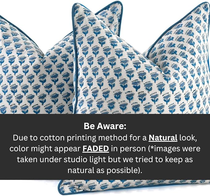 CPC 100% Cotton Throw Pillow Covers 18x18 Inch, Set of 2 Blue Block Print Pattern Couch Pillow, Cute Boho Decorative Pillows for Living Room, Bedroom with Hidden Zipper- Apatite Blue