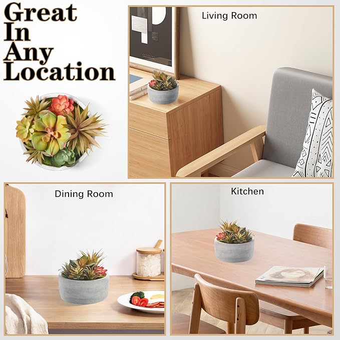 Artificial Succulent Plants Potted Indoor with Ceramic Pot - Fake Low Maintenance Plants for Bedroom, Bathroom, Coffee Table Decor - Home Office Desk & Room Aesthetics