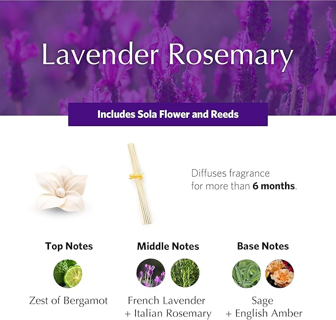 AGRARIA PetiteEssence Flower and Reed Diffuser Set, Hand Crafted Sola Flower Botanical Home Fragrance Set, Scented Oil Gift for All Occasions