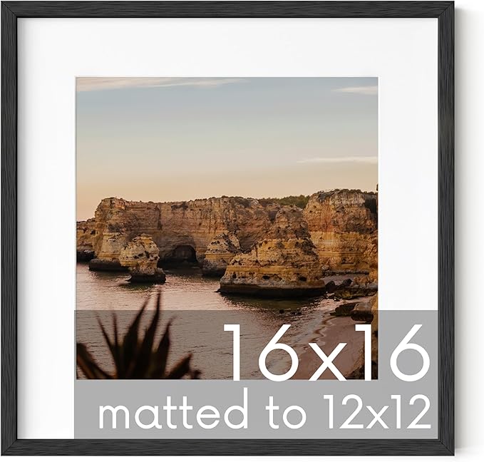 HAUS AND HUES Black Square Frame Set of 1-16x16