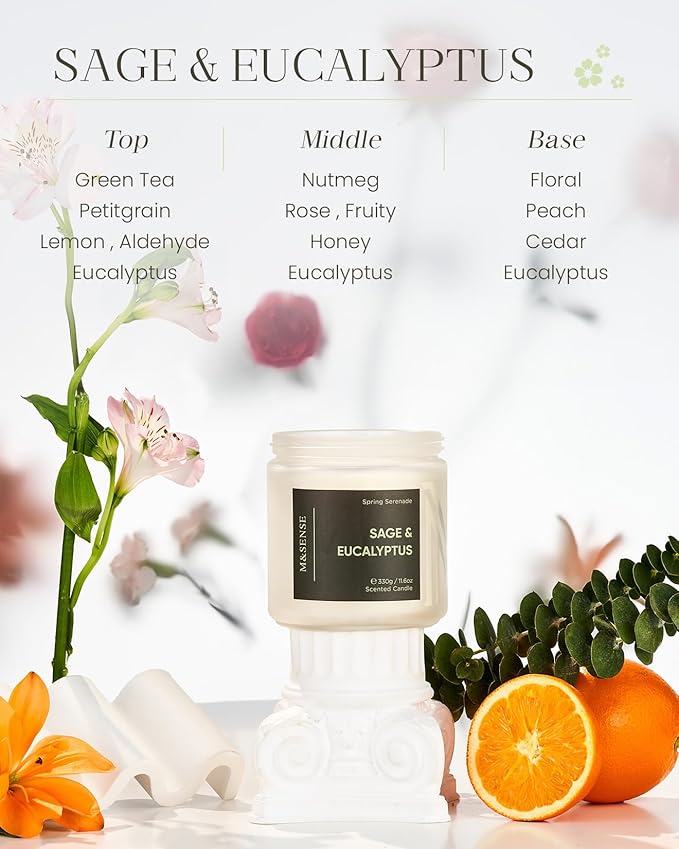 M&SENSE Eucalyptus Sage Summer Scented Candle - 11.6oz Natural Soy Wax Non Toxic Candle 70-Hour Long Lasting Burn Time, 2-Wick Home Decor Relaxation & Stress Relief