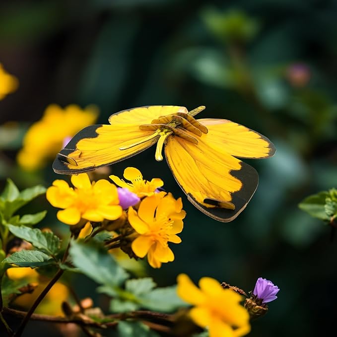 Preschool Toys Eco-Friendly Science Kits & STEM Projects, 3D Paper Puzzle for Kids 7+, Ideal for Homeschooling Supplies, Early Development Tools-Butterfly Series, 3 Colour