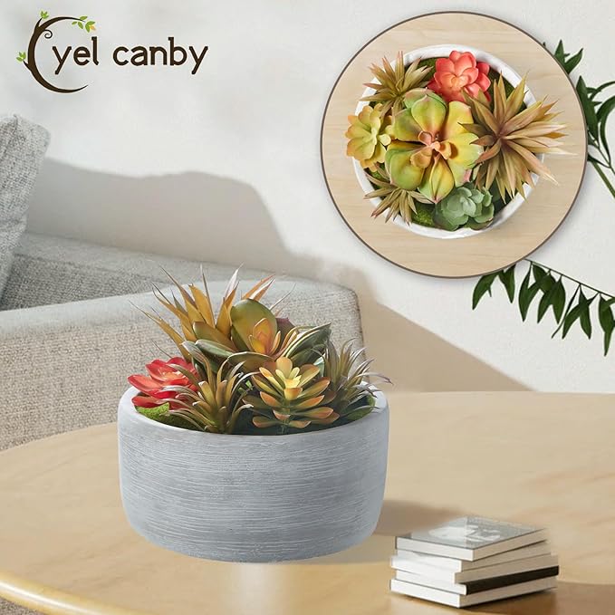 Artificial Succulent Plants Potted Indoor with Ceramic Pot - Fake Low Maintenance Plants for Bedroom, Bathroom, Coffee Table Decor - Home Office Desk & Room Aesthetics