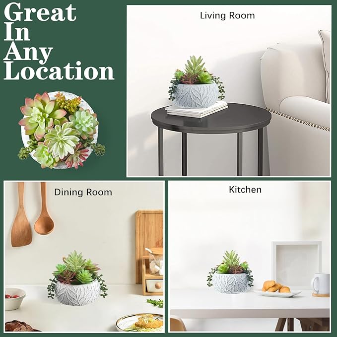 Artificial Succulent Plants Fake Potted Indoor with Ceramic Pot - Home Office, Bedroom, Bathroom Decor - Low Maintenance Desk Plants for Coffee Table & Room Aesthetics