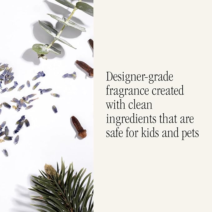 Pura & Brooklyn Candle Studio Home Scent Refill - Smart Air Diffuser - Up to 120-Hours of Luxury Fragrance per Refill - Home Essential - Clean & Safe Diffuser Fragrance - 2 Pack, Tulum