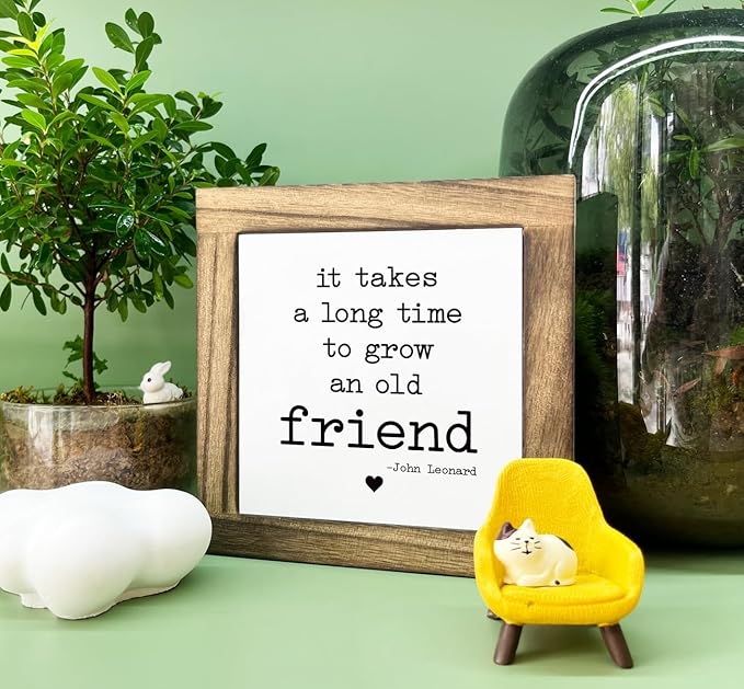 Desk Decor Gifts, Box Wood Plaques Desk Décor, Decorative Wooden Table Sign, Meaningful Friendship Sign, Old Friends Gifts, Bestie Gift, It Takes A Long Time to Grow An Old Friend Sign