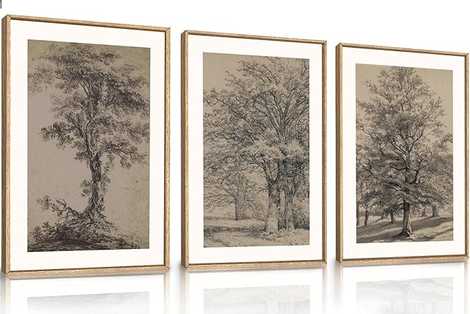 KAIRNE Vintage Tree Sketch Wall Art Set, Antique Tree Drawings Wall Decor, Nature Sketch Wall Painting, Framed Botanical Canvas Art Prints for Living Room, Bedroom, Dinning Room, Farmhouse - 24"x36"x3