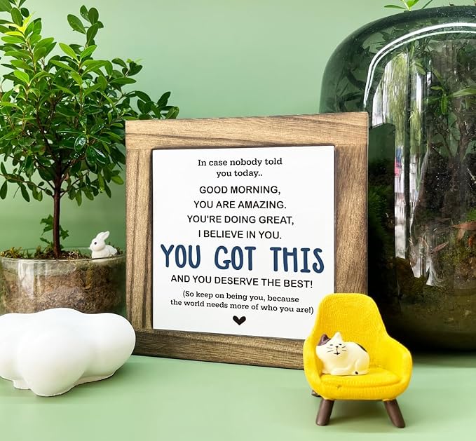 Inspirational Sign, Box Wood Plaques Desk Décor, Decorative Sign Table Decor, Affirmation Wood Plaque, Office Gift, Gift for Coworker Friends Family Kids, You Got This and Deserve the Best Sign