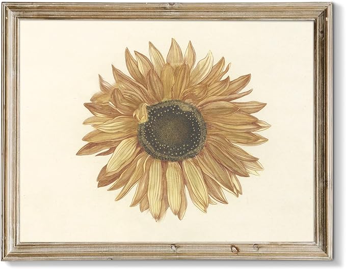RETRART Vintage Sunflower Wall Art, Antique Sunflower Sketch Art - Botanical Drawing - Summer Farmhouse Decor, 8" x 10" Unframed Canvas Prints for Bedroom Living Room Bathroom Wall Decor