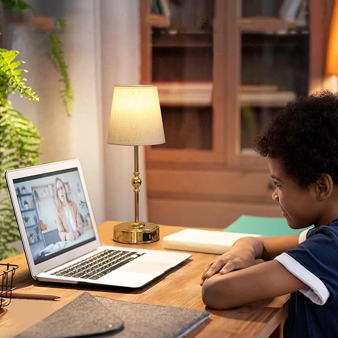 Bedside Table Lamp for Bedroom with 2 USB Charging Ports Minimalist Modern Small Gold Nightstand Lamp 3-Way Dimmable Touch Desk Lamp for Living Room Home Office Dorm,LED Bulb Included