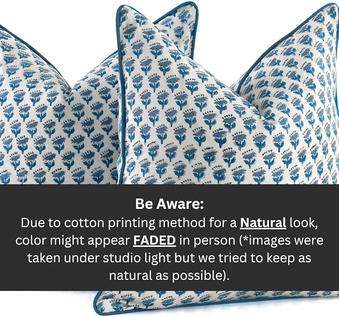 CPC 100% Cotton Throw Pillow Covers 20x20 Inch, Set of 2 Blue Block Print Pattern Couch Pillow, Cute Boho Decorative Pillows for Living Room, Bedroom with Hidden Zipper- Apatite Blue