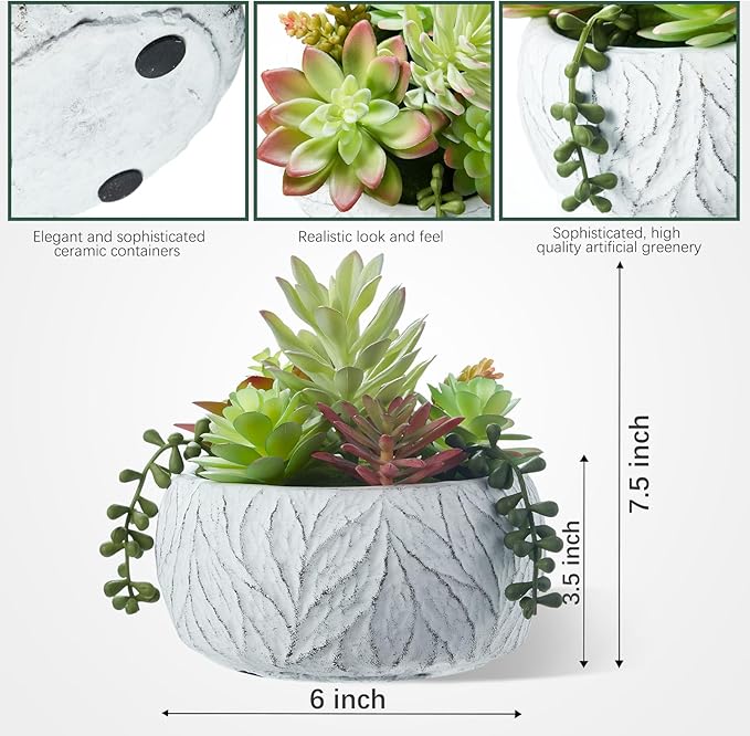 Artificial Succulent Plants Fake Potted Indoor with Ceramic Pot - Home Office, Bedroom, Bathroom Decor - Low Maintenance Desk Plants for Coffee Table & Room Aesthetics