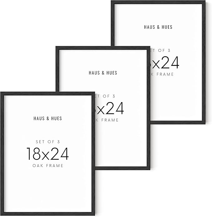 HAUS AND HUES Poster Frames - Set of 3, 18x24 (Black Oak Frame)
