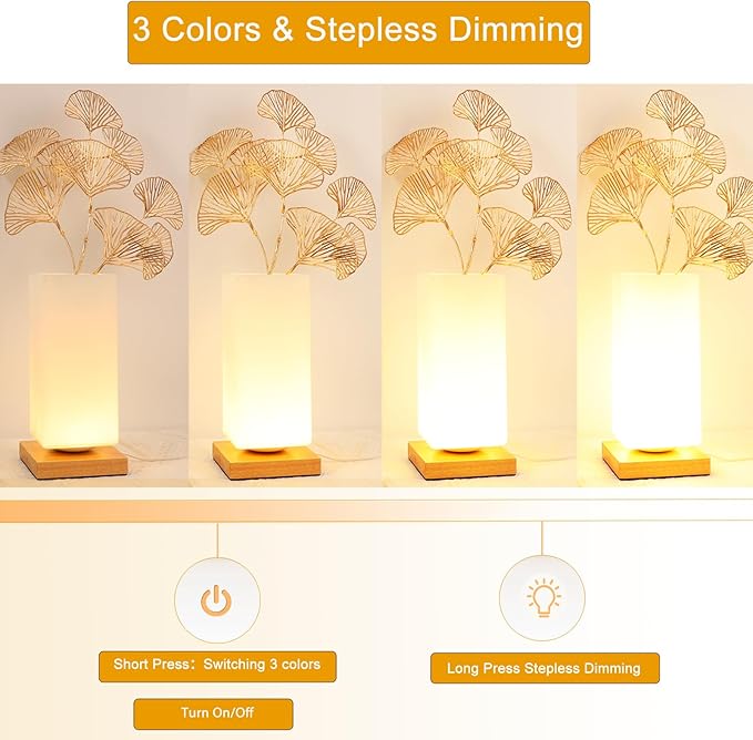 Vase Table Lamp Rechargeable Touch Lamp Dimmable 3 Colors Flower Lamp Bedside Lamp Frosted Glass Shade with Wood Base