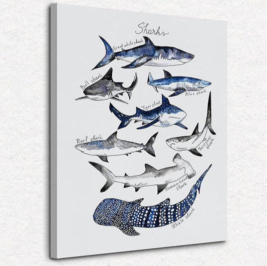 Nogrit Shark Wall Art - Ocean Themed Shark Gifts, Classroom Library Decor - 11x14