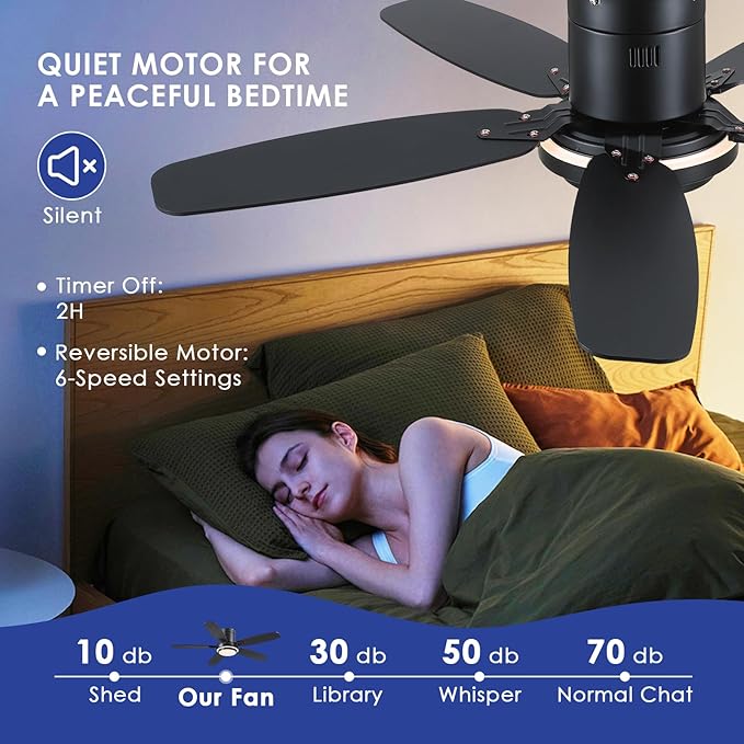 Low Profile Ceiling Fan with Lights and Remote/APP, 50 Inch Modern Flush Mount Ceiling Fan with 3CCT 6-Speeds Quiet DC Motor,Dimmable 3-Color Temperatures for Living Room Bedroom(Black)