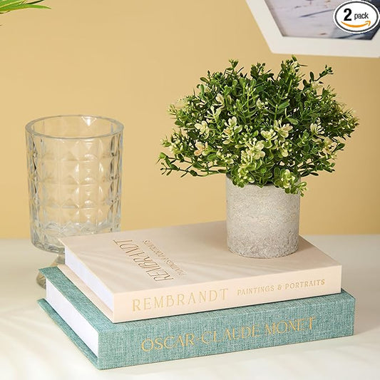 Decorative Books Set of 2 - Linen Storage Boxes & Decorative Fake Books | Photo & Keepsake Storage Box for Home Decor | Coffee Table, Bookshelf & Aesthetic Shelf Decor