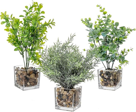 MyGift Artificial Rosemary Eucalyptus and Boxwood Plants Potted in Clear Glass Square Pots, Assorted Faux Greenery Indoor Home Table Centerpiece Office Desk Decor, 3 Piece Set