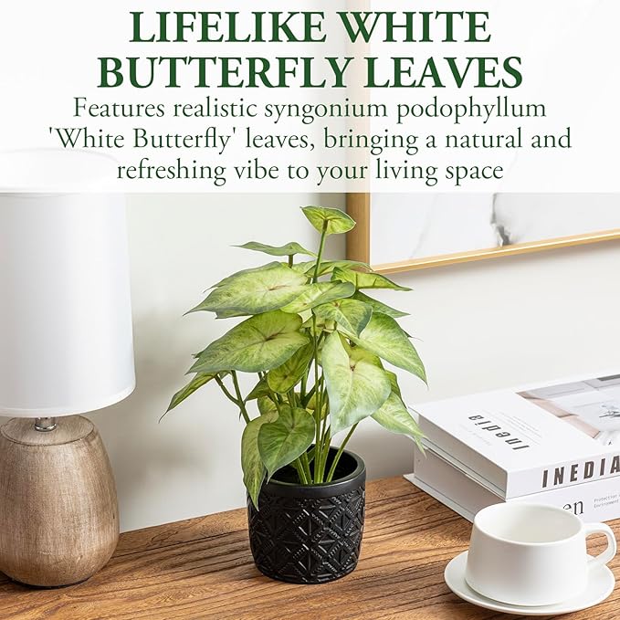 MyGift Artificial Arrowhead Plant Potted in Black Concrete Pot with Geometric Embossed Pattern, Faux Syngonium Podophyllum 'White Butterfly' Green Leaf Indoor Home Table Decor
