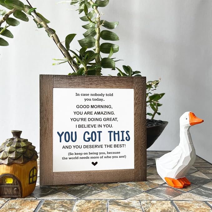 Inspirational Sign, Box Wood Plaques Desk Décor, Decorative Sign Table Decor, Affirmation Wood Plaque, Office Gift, Gift for Coworker Friends Family Kids, You Got This and Deserve the Best Sign C1