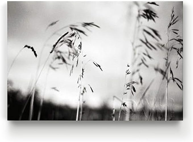 Renditions Gallery Canvas Wall Art Paintings & Prints Black & White Windy Wheat Fields Abstracr Nature Artwork for Living Room Kitchen Walls - 32"X48" LT08