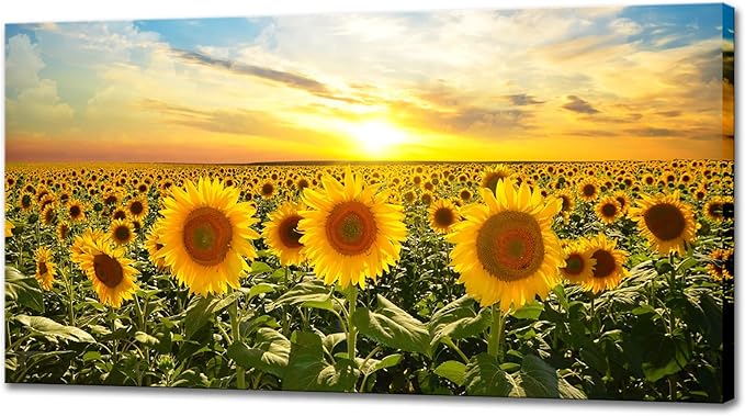 Biuteawal Sunflower Canvas Print Wall Art Sunset Landscape Pictures Flower Field Artwork Modern Painting for Home Kitchen Bedroom Dining Room Stretched and Framed Ready to Hang