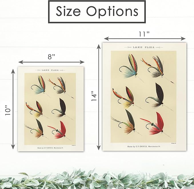 Vintage Fly Fishing Art Prints (Set of 4) - Unframed - 11x14 | Great Gift for Fisherman - Reproductions of Vintage Fishing Lure Drawings - Rustic Decor