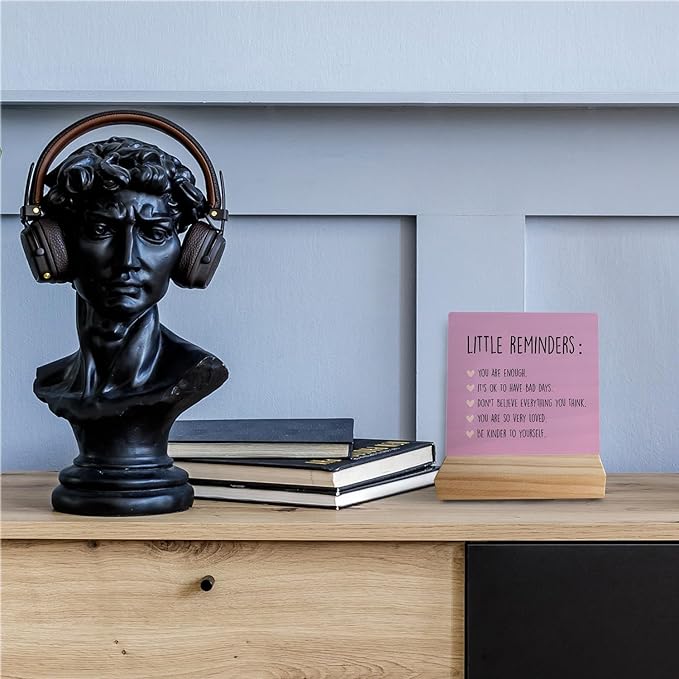 Inspirational Wooden Sign - Little Reminders Office Decor or College Gift (Pink)