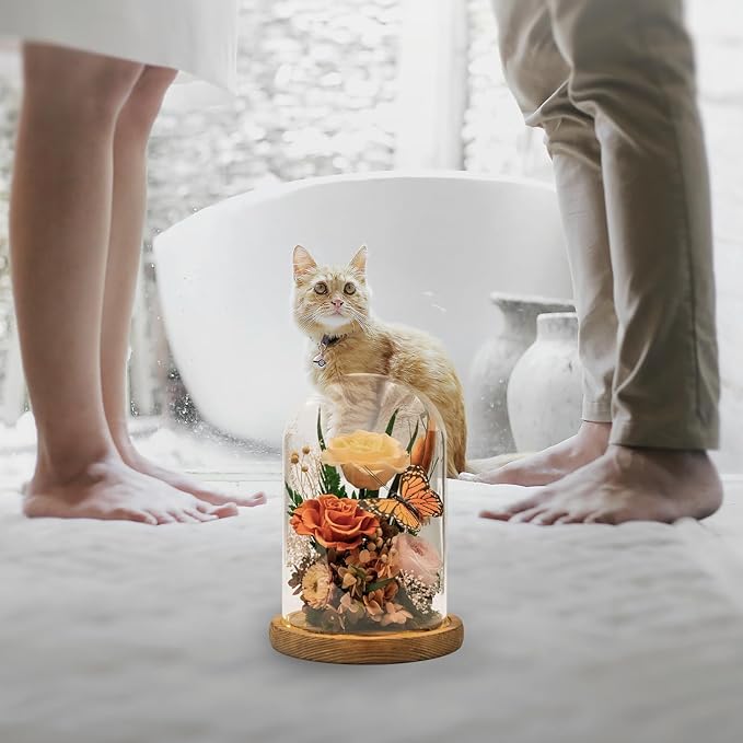 Eternal Flowers with Butterfly: Forever Flower Arrangement-Elegant Preserved Flowers in Glass Dome-Romantic Valentines, Anniversary, Mom Gifts for Her-Flowers for Delivery Prime (Orange)