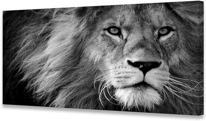Baisuart Modern Giclee Canvas Prints Stretched Artwork Black and White Lion Pictures to Photo Paintings on Canvas Wall Art for Home Office Decorations Wall Décor XXLarge 30x60inch