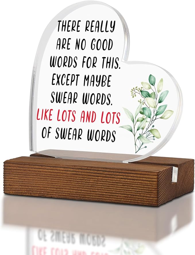 Humor Encouragement Get Well Gift for Him Her,THERE REALLYARE NO GOWORDS FOR THIS.EXCEPT MAYBE, Home Office Decor Acrylic Sign Plaque XA328